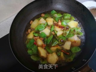 土豆炖豆角的做法步骤：5