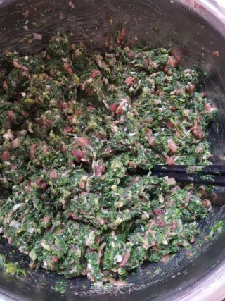 荠菜鲜肉大包的做法步骤：7