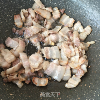“肉菜”孜然五花肉的做法步骤：9
