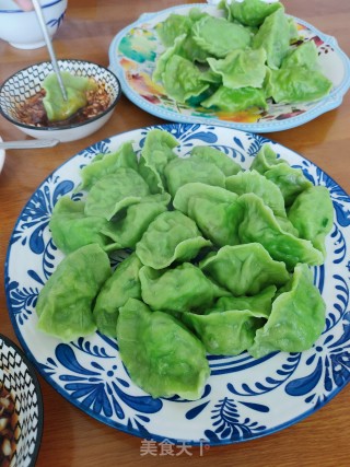 槐花猪肉水饺的做法步骤：19