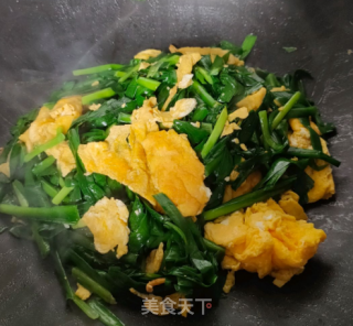 韭菜炒蛋的做法步骤：4
