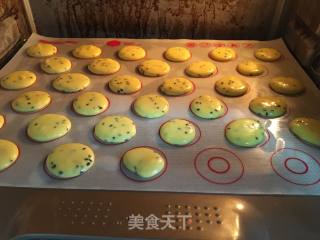 蛋黄小饼干的做法步骤：8