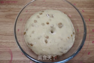 波兰种橙皮丁面包的做法步骤：8