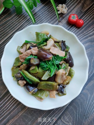 肉片芸豆烧茄子的做法步骤：14