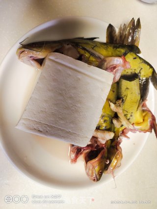 昂刺鱼炖豆腐的做法步骤：1