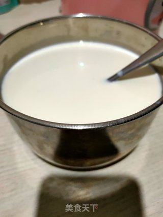 牛奶版酸奶的做法步骤：4