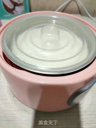 牛奶版酸奶的做法步骤：5