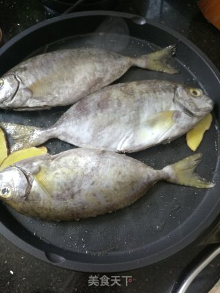 香煎泥芒鱼的做法步骤：3