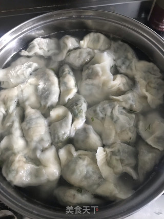茴香鸡蛋水饺的做法步骤：9