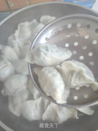 茴香粉条素馅饺子的做法步骤：14