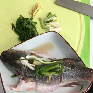 清蒸鲈鱼的做法步骤：1