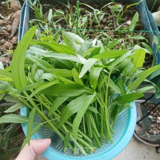 蒜蓉有机空心菜 快手菜的做法步骤：2