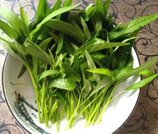 蒜蓉有机空心菜 快手菜的做法步骤：4