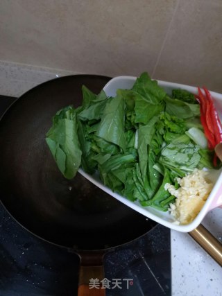 蚝油小白菜的做法步骤：3