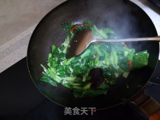蚝油小白菜的做法步骤：5