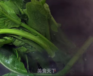 鲜虾云吞面的做法步骤：4