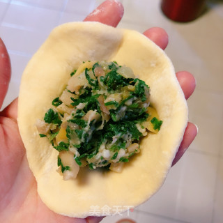 荠菜鲜笋肉包的做法步骤：8