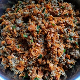 家常胡萝卜牛肉包的做法步骤：9