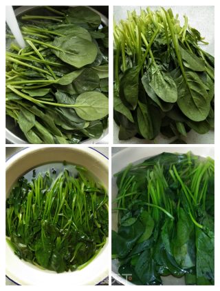 菠莱胡萝卜炒粉丝的做法步骤：2