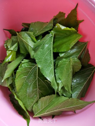 桑叶菊花枸杞茶的做法步骤：3