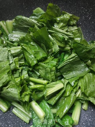 蚝油春菜的做法步骤：3