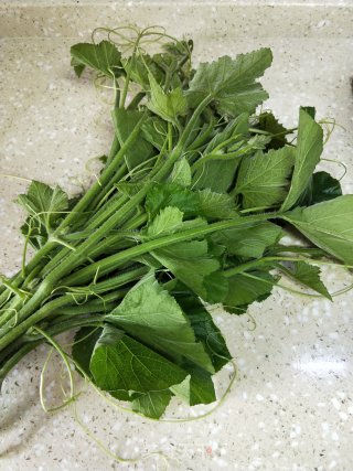 蒜香南瓜苗的做法步骤：1