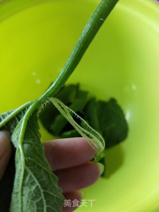 蒜香南瓜苗的做法步骤：2