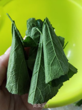 蒜香南瓜苗的做法步骤：4