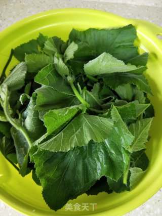 蒜香南瓜苗的做法步骤：5