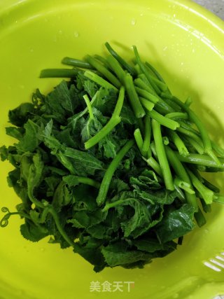 蒜香南瓜苗的做法步骤：7