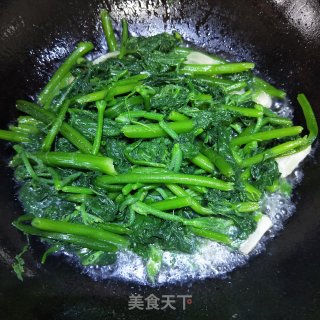蒜香南瓜苗的做法步骤：12