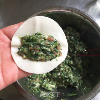 水芹猪肉饺的做法步骤：7