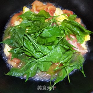 番茄桑芽煮蛋的做法步骤：9