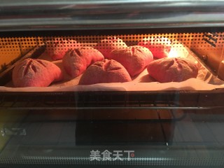 波兰种肉松欧包的做法步骤：9