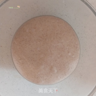 水合法#手揉#黑全麦椰蓉小餐包的做法步骤：7