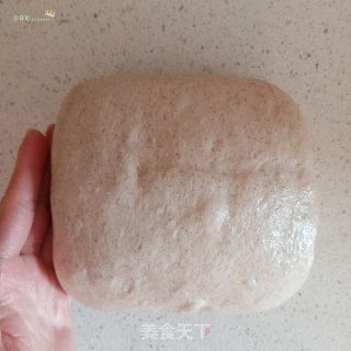 水合法#手揉#黑全麦椰蓉小餐包的做法步骤：10
