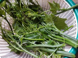 上汤龙须菜的做法步骤：1