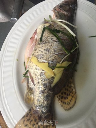 红烧鳜鱼的做法步骤：2
