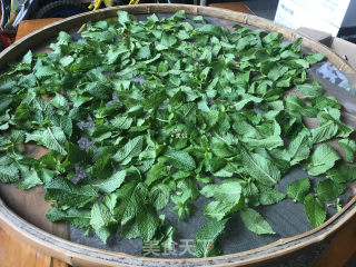 自制薄荷膏的做法步骤：1