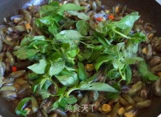 炒薄壳的做法步骤：5