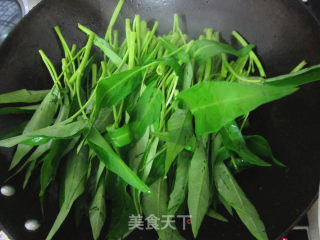 虾酱炒空心菜的做法步骤：4