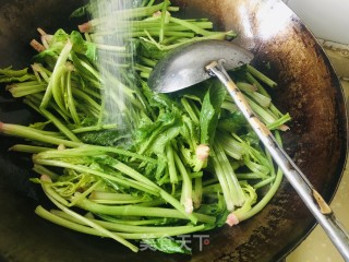 蒜香菠菜梗的做法步骤：3