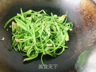 蒜香菠菜梗的做法步骤：7