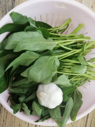 素炒空心菜的做法步骤：1