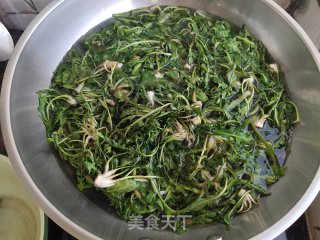 婆婆丁煎蛋的做法步骤：2