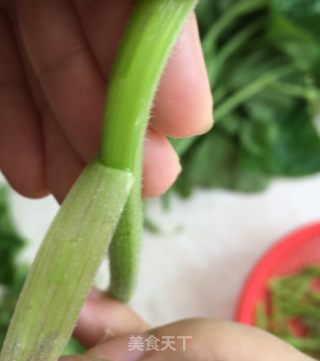 凉拌南瓜苗的做法步骤：2