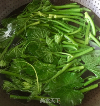 凉拌南瓜苗的做法步骤：3