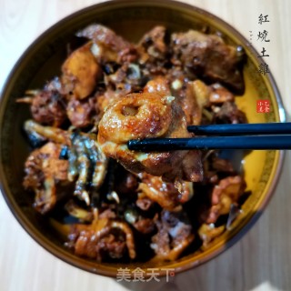 红烧土鸡的做法步骤：9