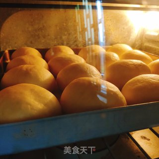 椰蓉小餐包  ――   一次发酵，松软又拉丝的做法步骤：5