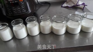 自制酸奶的做法步骤：8